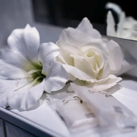 أندانتيه * روست